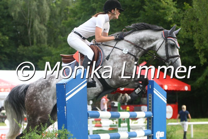 308M1010_Spring Mx.JPG